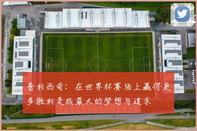 普利西奇：在世界杯赛场上赢得更多胜利是我最大的梦想与追求