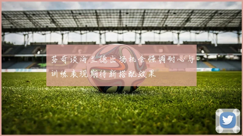 芬奇谈海兰德出场机会强调耐心与训练表现期待新搭配效果